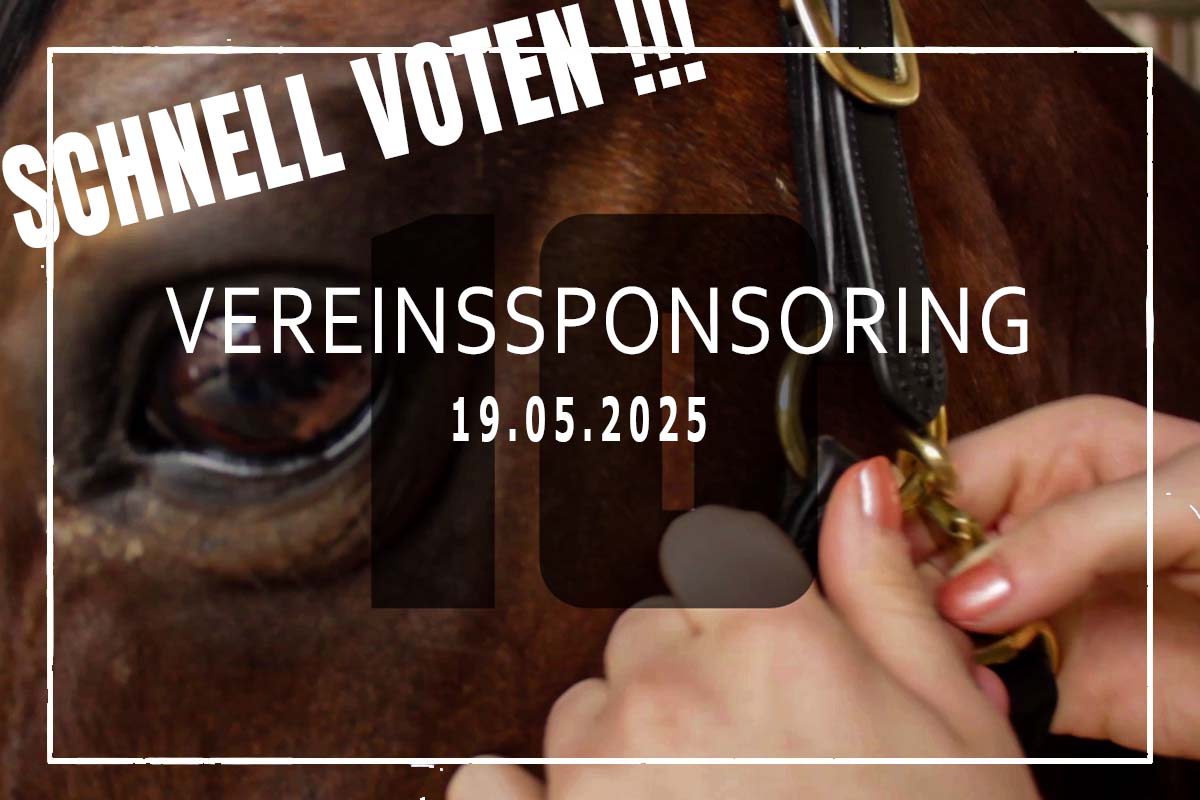 Mehr über den Artikel erfahren Meyer Technik Vereinssponsoring
