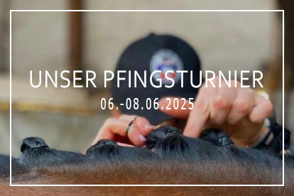 Mehr über den Artikel erfahren Unser Pfingstturnier