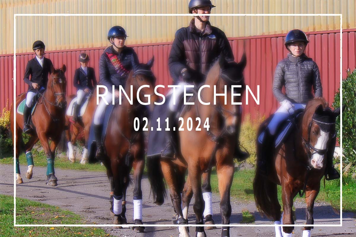 Mehr über den Artikel erfahren Ringstechen 2024